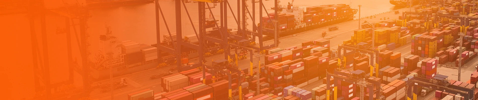 Nossas Soluções WM Trading